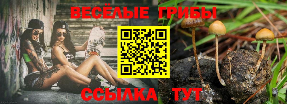 Псилоцибиновые грибы Cubensis Кизляр