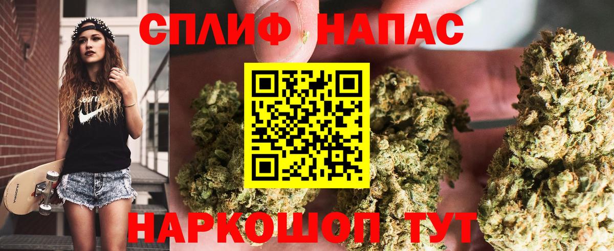 Кизляр  Каннабис Bruce Banner  Марихуана тримм  Бошки марихуана план  Вход с VPN 